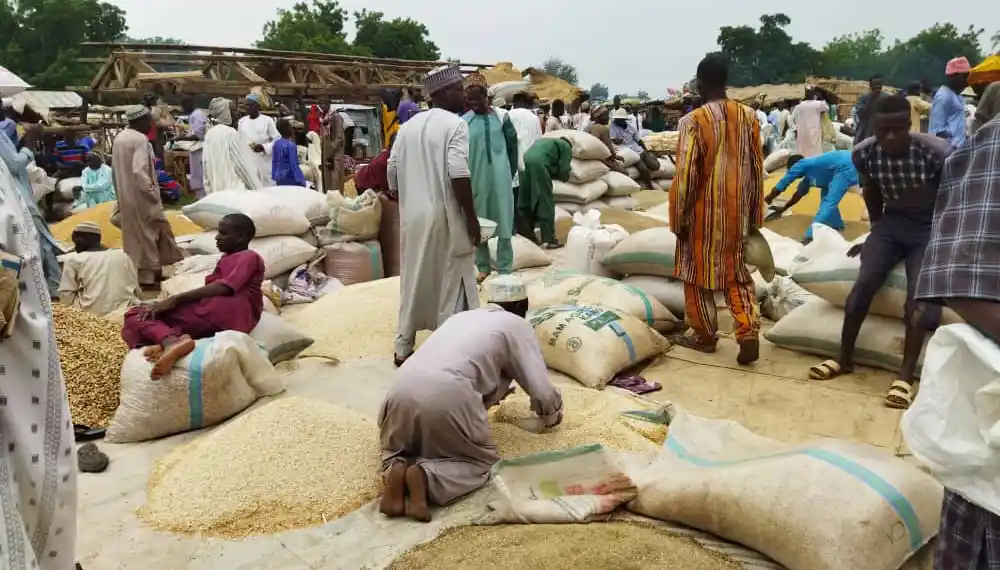 Kaduna traders seek government’s support to cushion economic hardship