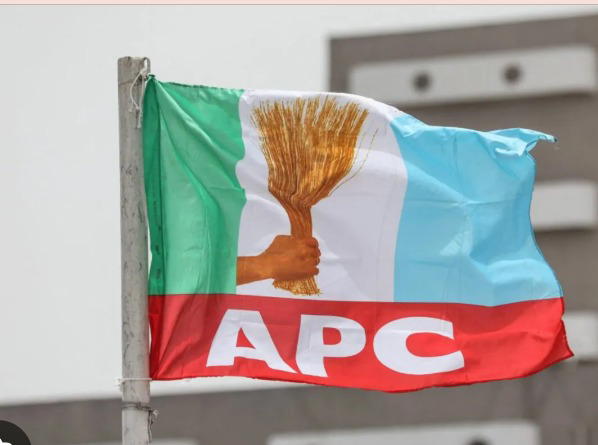 Osun 2026: Electorate will not regret returning APC to power – Party chieftain