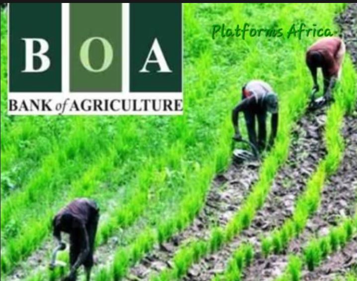 Bank of Agric: Babangida will user new era in Nigeria – Onoh