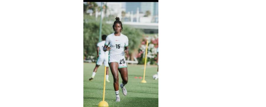 NFF appoints Manu Garba, Moses Aduku for Golden Eaglets, Falconets