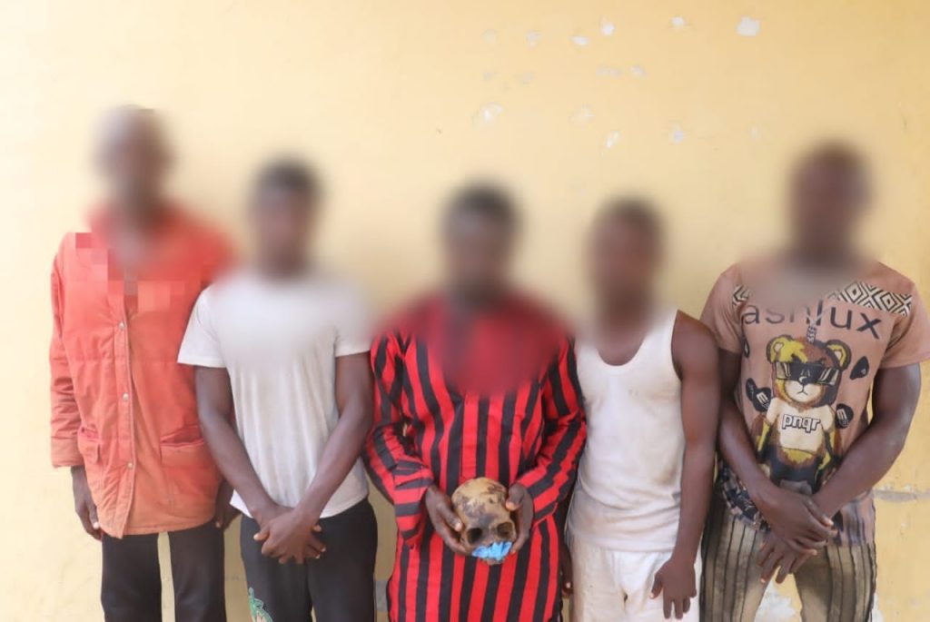 Man exhumes grandma’s skull in Niger to settle N2m debt