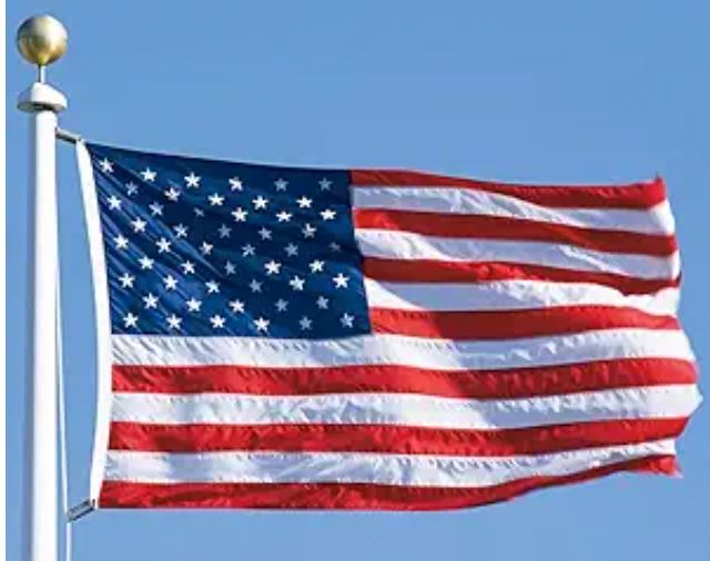 2 Nigerians make list of America’s richest immigrants in 2025