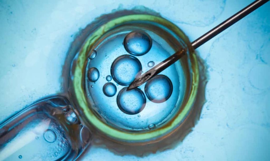 UK delivers 8 babies using groundbreaking ‘3-parent’ IVF 