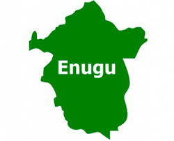 Our ancestral lands not for sale: Enugu community slams PEIWA over alleged land grab
