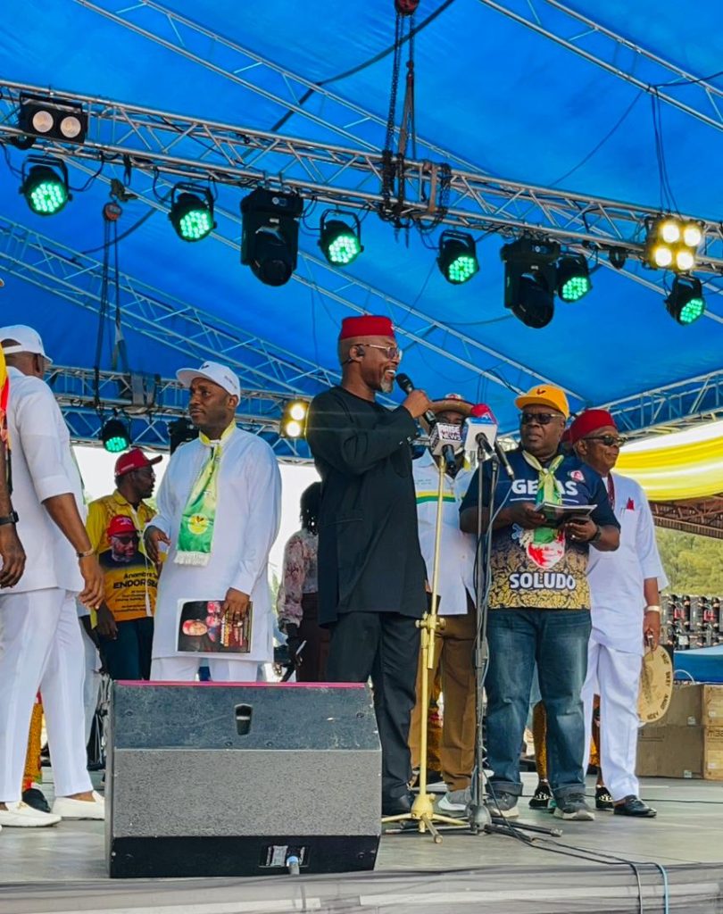 Osita Chidoka endorses Soludo for second term