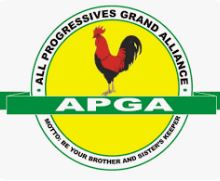 Why APGA adopted consensus candidates for Anambra bye-elections – Opara