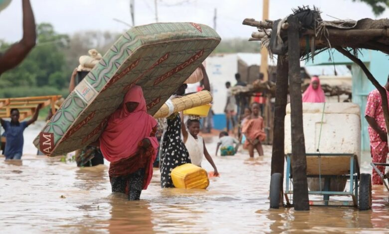 Breaking: FG donates N2bn, 20 truckloads of grains for Niger flood victims