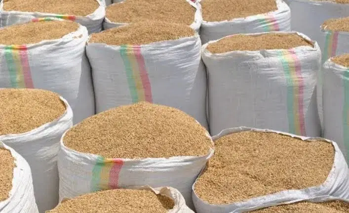Rice farmers lament crippling local production
