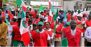 We will resist attempt by govt to bring division between NLC, TUC – Labour
