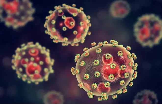 Lassa Fever: NCDC confirms 11 new cases in 3 states