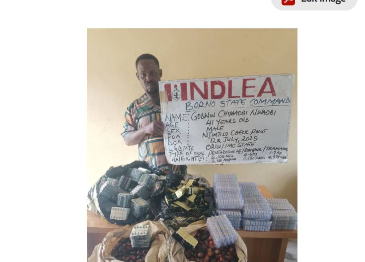 NDLEA intercepts cocaine hidden in microwaves, arrests notorious drug kingpin