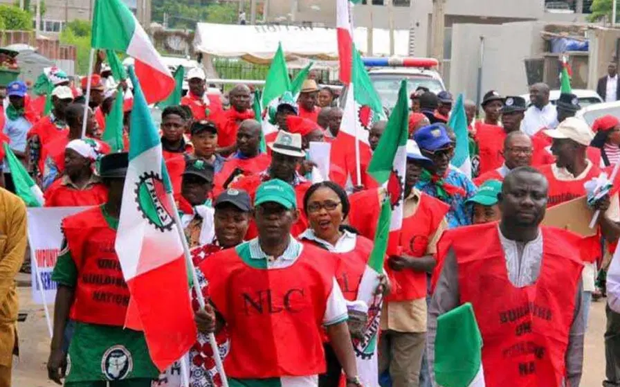 NLC