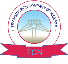 Suspected transmission tower vandal electrocuted in Ebonyi -TCN