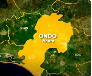 Abducted Ondo farmers regain freedom after paying N5m ransom