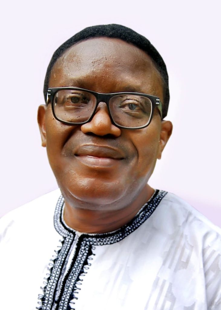 The root of Super Eagles' Libya nightmare — Lakemfa