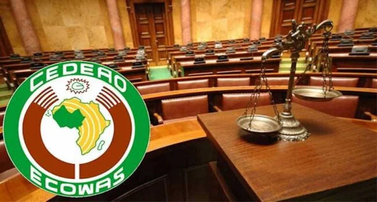 Parliamentarians caution ECOWAS member states against hasty  adoption of AI