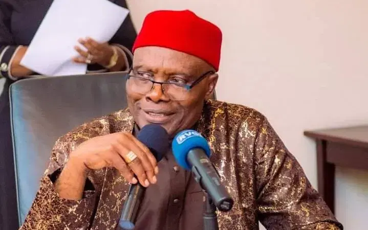 INEC: Low voter registration in S’East worries ex-Senate President Wabara