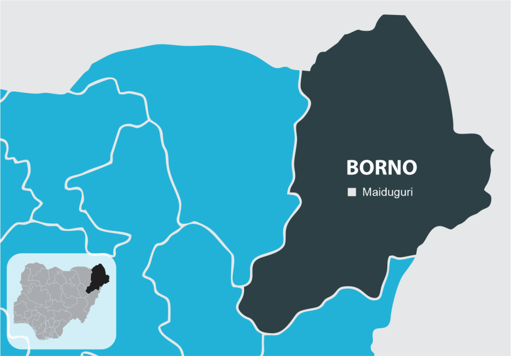 Teenager killed in suspected IED blast in Borno