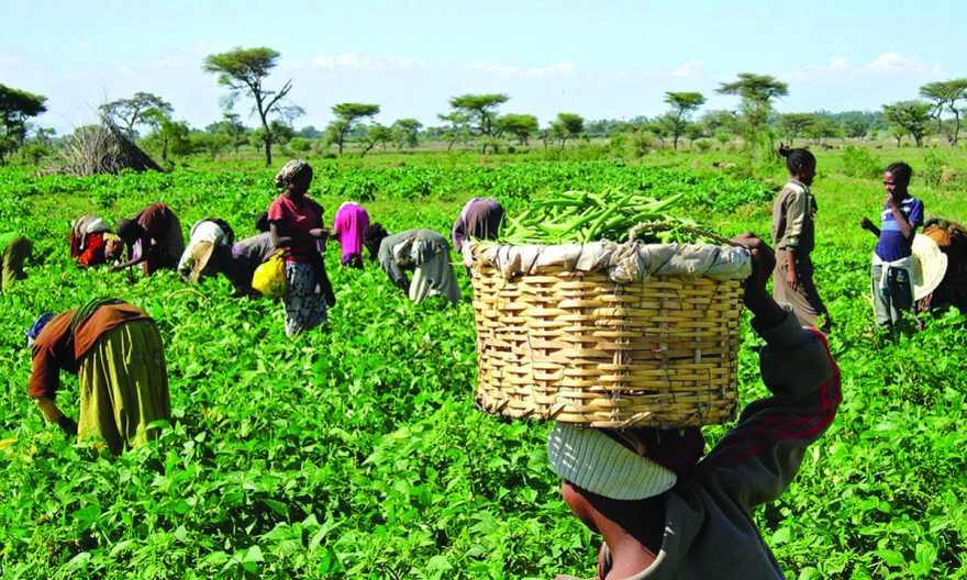 Equal work, unequal pay, the theft we still tolerate, by Stephanie Shaakaa