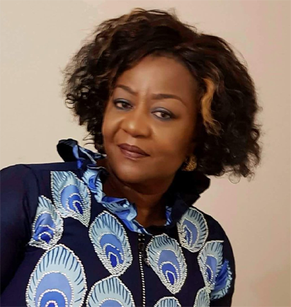 2027: It’s all psychological warfare that won’t work — Onochie