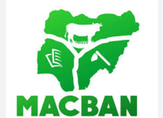 Six Fulani killed, 100 cattle rustled in Enugu – Miyetti Allah alleges 