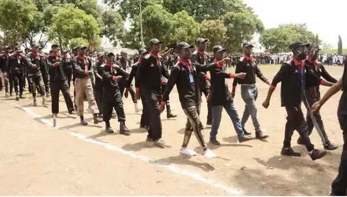 Kano forest security receives 145 crime complaints in August