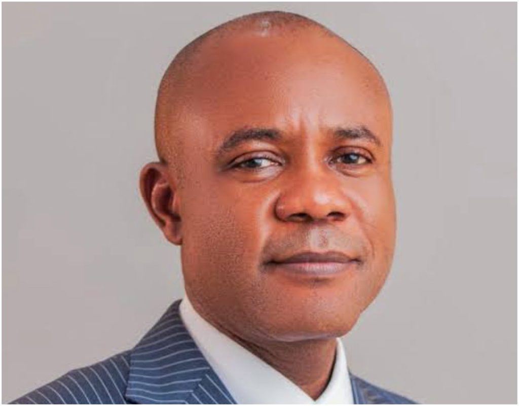 US-based Igbo group AVID, WIC warn Mbah of establishing cattle ranch in Enugu