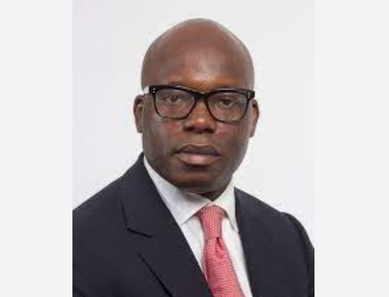 How visa restrictions hinder investment in Africa – Wale Tinubu