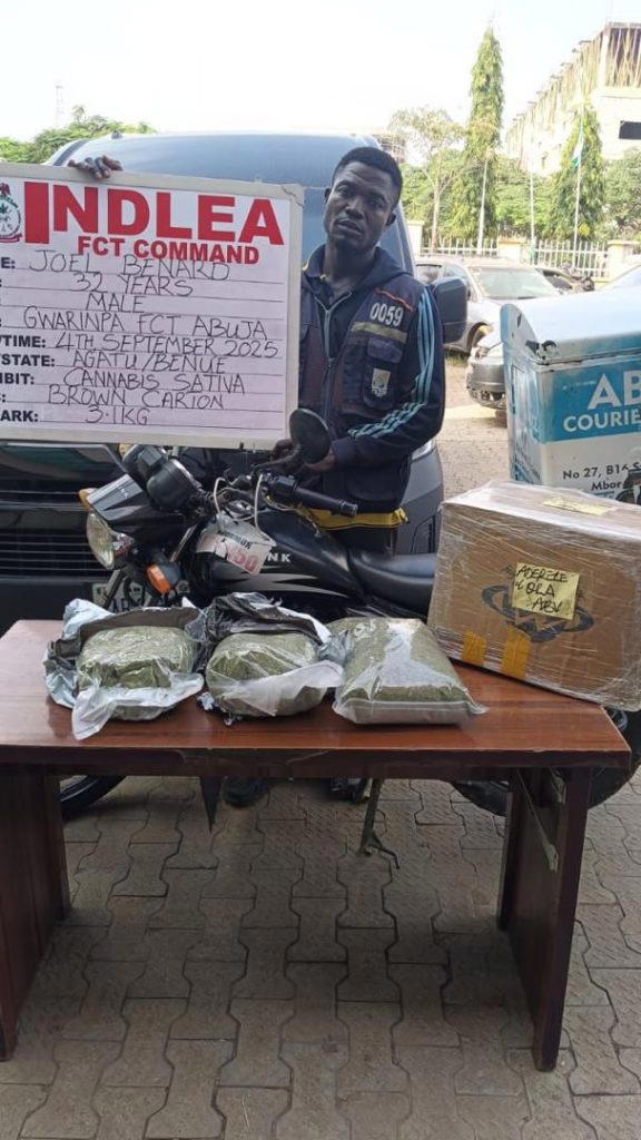 NDLEA smashes international drug cartel, nabs 3 kingpins