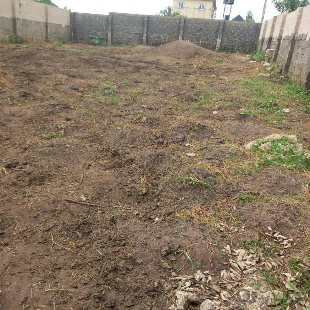 Abia farmer cries out as cows destroy crops, farmland