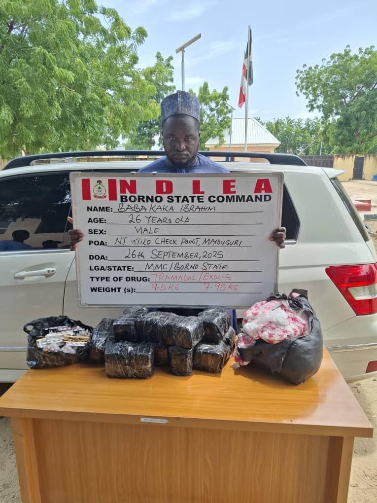 NDLEA intercepts bandits’ drug suppliers, nabs kingpins, destroys 24,000kg skunk
