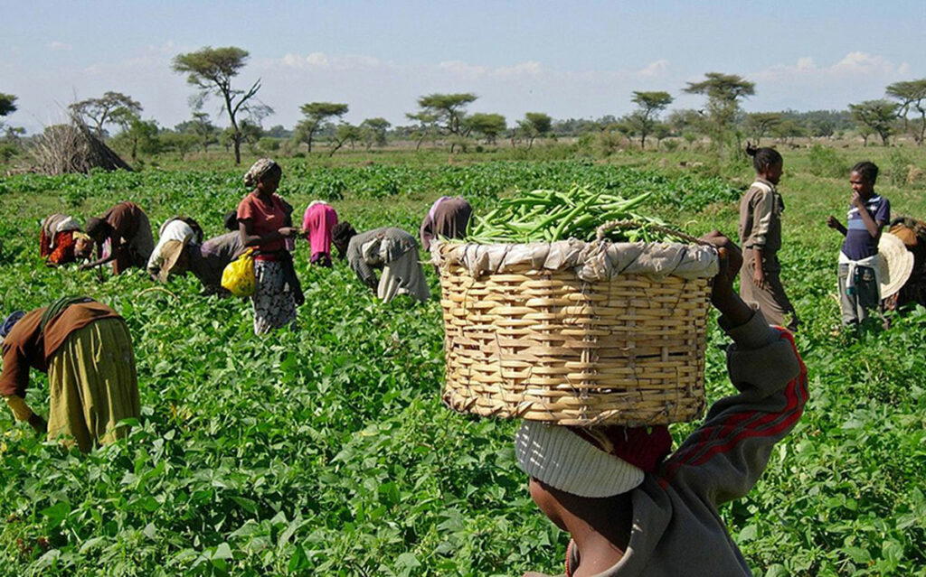 agric
