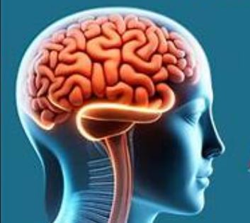 Brain Drain: FG rolls out funding, training reforms to retain medical experts