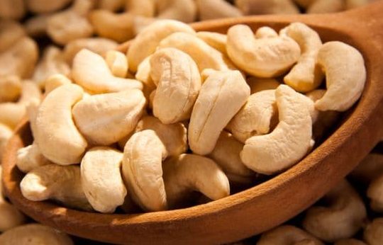 We need incentives to drive cashew industrialisation, not bans — NCAN
