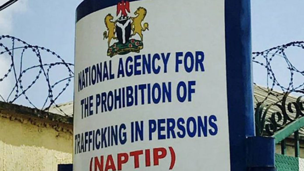 NAPTIP busts child trafficking ring, rescues 8 stolen children