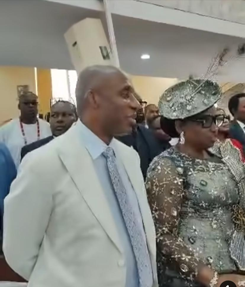 Photos: Jonathan, Osinbajo, Mark, others grace Amaechi’s son’s wedding in Abuja