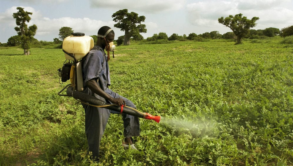 pesticides harm food production
