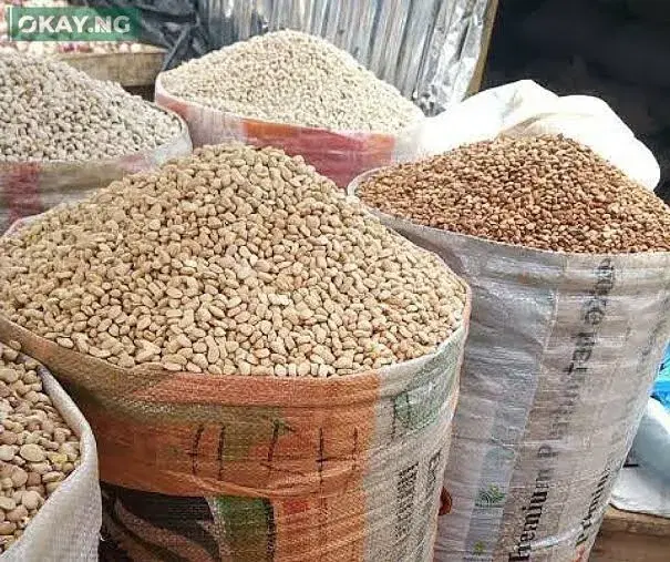 Beans farmers debunk use of cement as preservatives