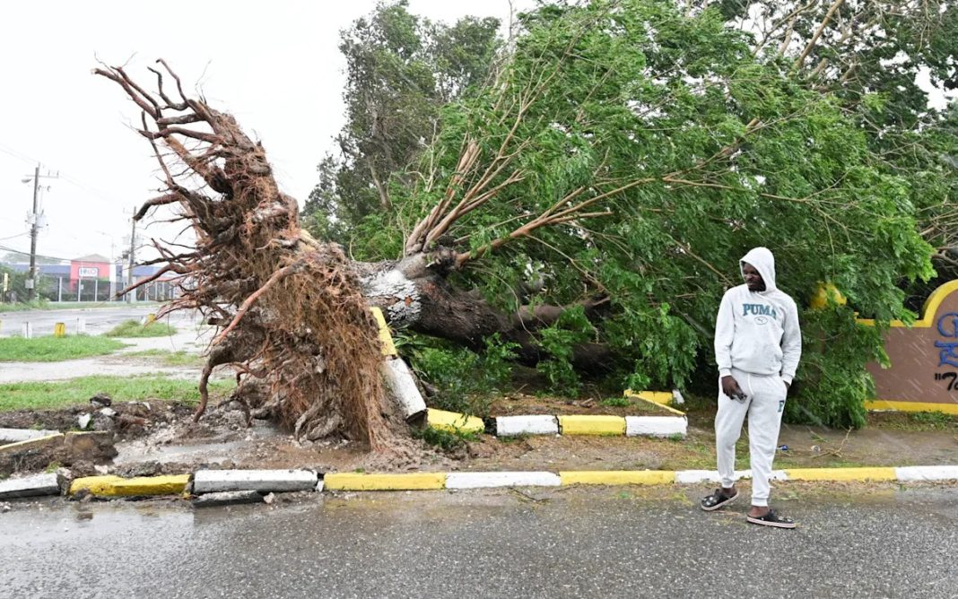 8af5f20dade8cd049c5656a8775be6f1.jpeg Yahoo news home