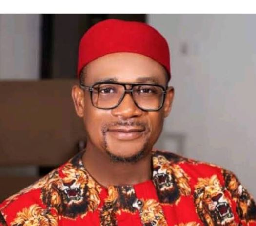 2027: Kinsman tells Reps Deputy Speaker he lacks capacity to challenge Otti