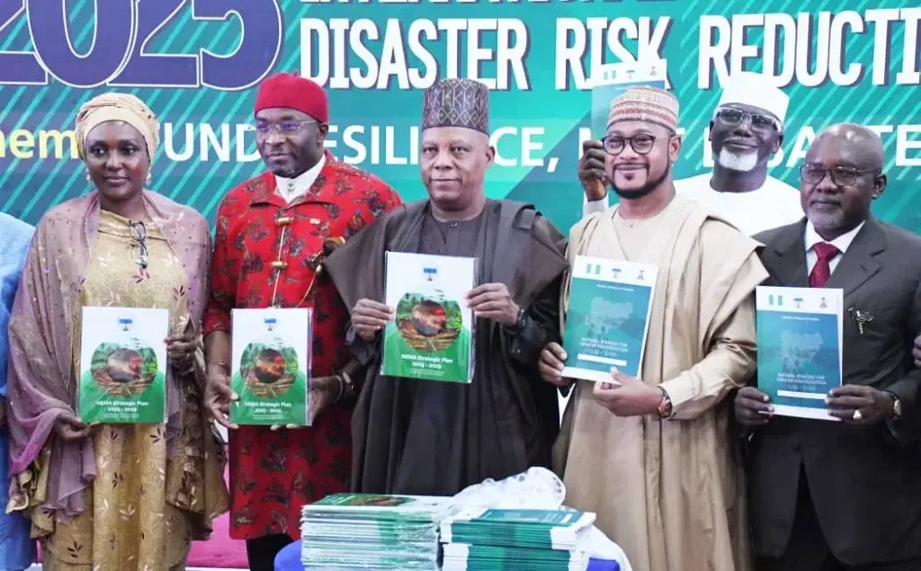 FG designs national risk financing framework for disaster prevention – Shettima