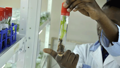RD2.gif SDGs: Nigeria to benefit from over $40trn global devt partners, humanitarian groups