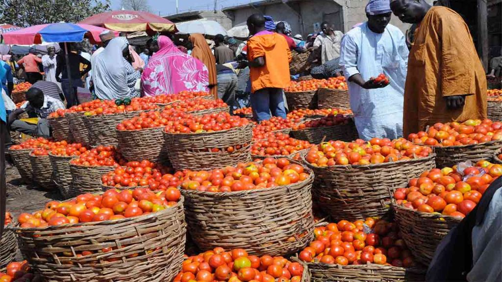 UN, India, Nigeria move to tackle food insecurity