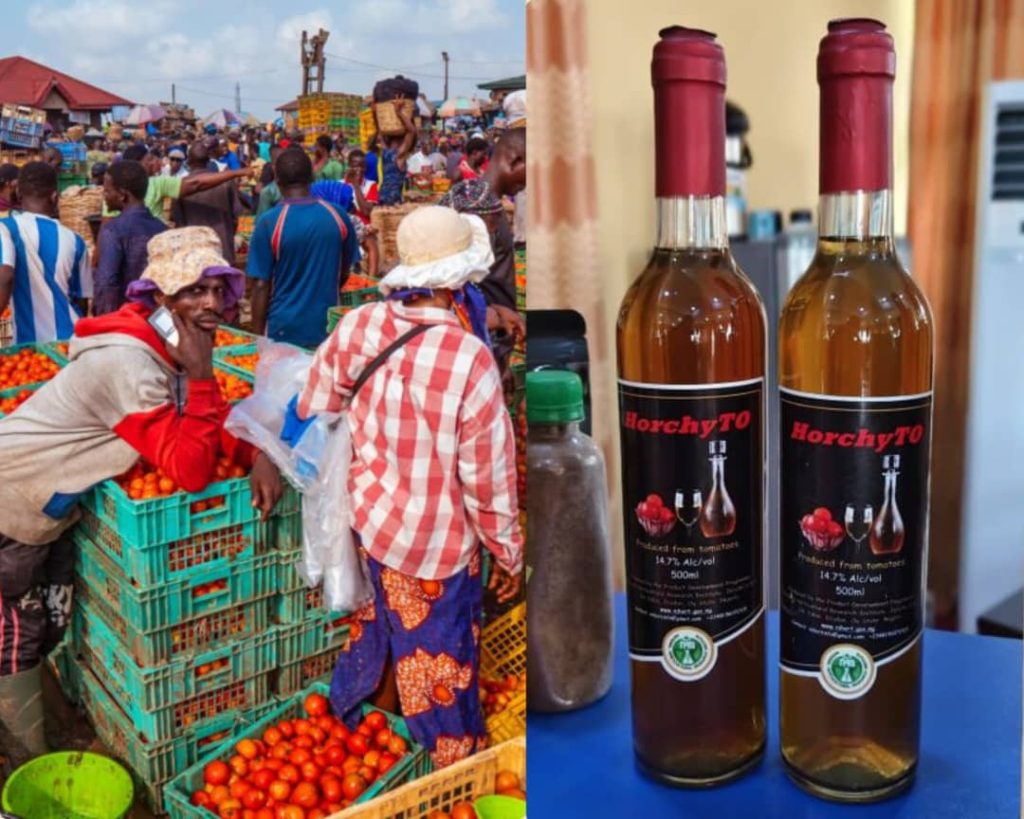 NIHORT turns excess tomatoes into wine