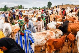 images-33.jpeg FG targets $74bn GDP boost from livestock sector