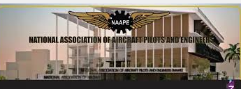 Pilots, engineers to get loss of licence insurance – NAAPE