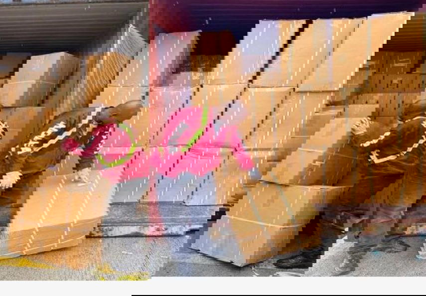 NDLEA intercepts large consignments in seven states, arrests over 15 suspects