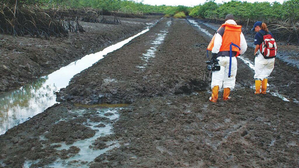 Lawsuits slowing down, can destroy Ogoni cleanup – FG