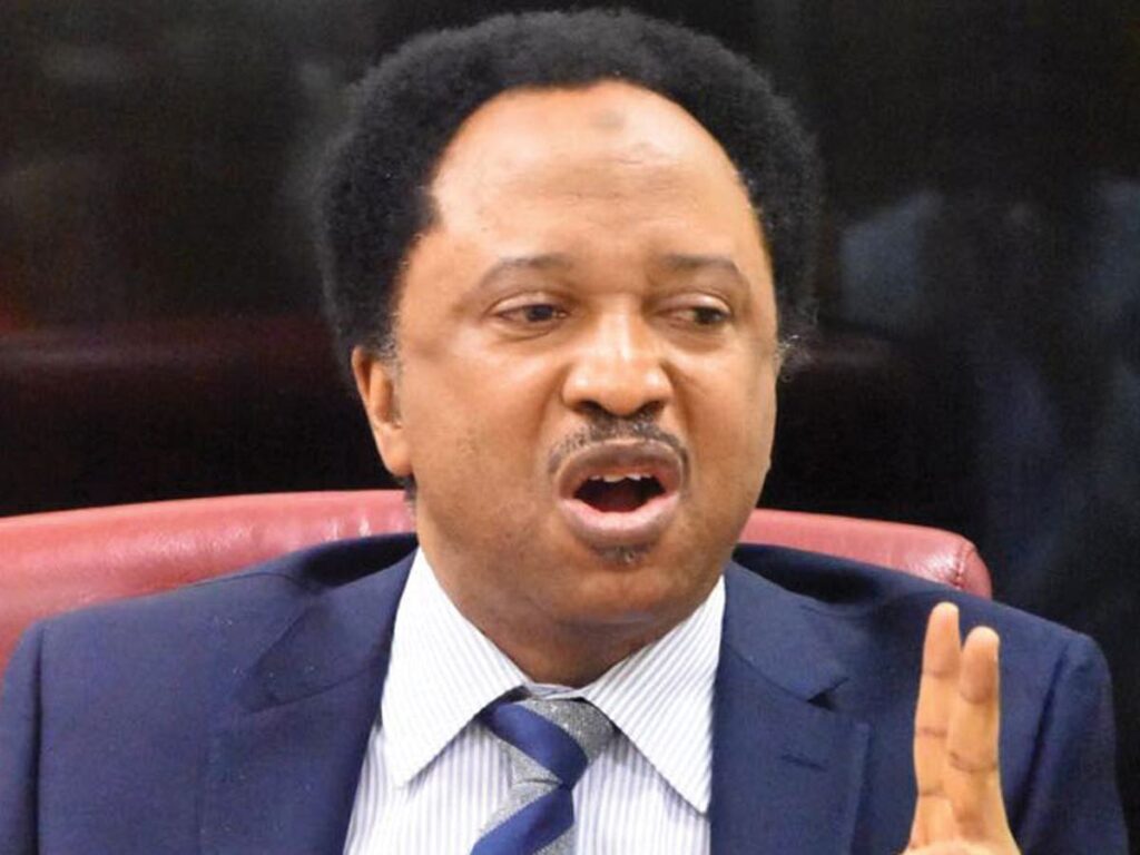 Fix economy to avert angry Nigerians’ protest, it doesn’t come with notice - Shehu Sani tells Tinubu