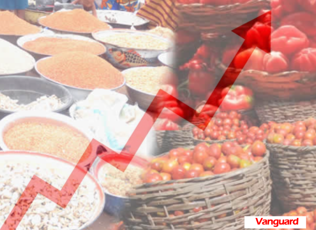 Food prices rise in September 2025 – NBS